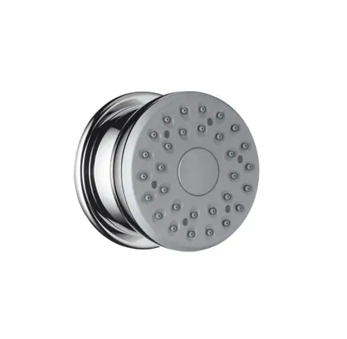 Hansgrohe Duschkopf in Chrom-Design mit gleichmäßig angeordneten Düsen für Wasserstrahlverteilung, zur Wandmontage geeignet.